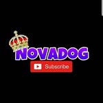 Kc_ NovaDog - @lindsaytownsend1962 - Instagram