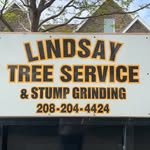 @lindsay_tree_service - Instagram