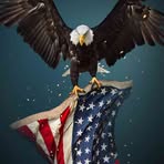 Vincent Lindsay - Facebook