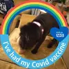 Connie Lindsay-yule - @connie.lindsayyul - TikTok