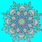 Lindsey Bloom - Facebook