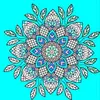 lindseybloom54 - @lindseybloom54 - TikTok