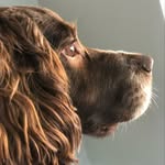 Lindsey Butterfield - @lindsey__butterfield - Instagram