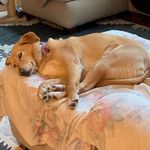 Lindsey Cameron - @lindsey.cameron - Instagram
