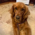 Lindsey Syvret Cameron - @hamptonlac - Instagram