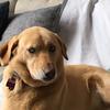 lindseycameron11 - @lindseycmeron - TikTok