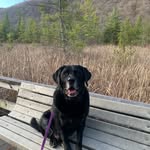 Lindsey Chadwick-Bogumil - @chadwickbogumil - Instagram