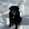 lindsey.chadwickbogumil - @lindsey.chadwickbogumil - TikTok