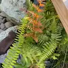 Lindsey Cooley - @lindsey.cooley - TikTok