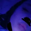 lindseybackupacc12 - @lindseybackupacc12 - TikTok