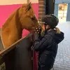 Lindsey de vries - @lindseydevries_nl - TikTok