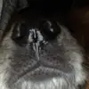 lindseyyelderrr - @lindseyyelderrr - TikTok