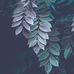 Lindsay Epstein - Facebook