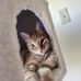 Lindsey Gade - Facebook