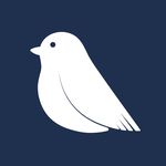 Lindsey Graf - @littlebirdthinks - Instagram