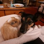 Lindsey Grice - Facebook