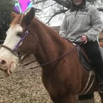 Lindseygrice - @lindseygrice14 - Instagram