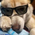 Lindsey Halbert - @lindsey_halbert1227 - Instagram
