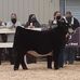 Lindsey Hamrick - Facebook