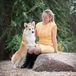 Lindsay Hecht - @zioncorgis - Instagram