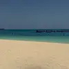 Lindsey Helms - @lindsey.helms - TikTok