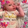 Lindsey Hoff382 - @lhoff32788 - TikTok