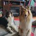 Linsey Plonski-Ladd - Facebook