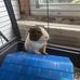 Lindsey Laskowski - Facebook