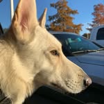 Lindsey Ling - @apolloswanderer - Instagram