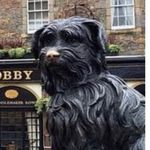 Lindsey Lloyd Comedy! - @lindsey_nicole_comedy - Instagram
