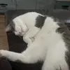miranda.lindsey18 - @miranda.lindsey18 - TikTok