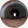 nolanlindseyO9 - @nolanlindseyo9 - TikTok