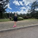 Lindsey Page - @lindz934 - Instagram