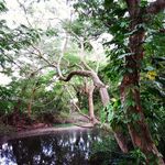 lindsey painter - @curiosity_creek_cleanup - Instagram