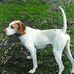Lindsey Passmore - Facebook