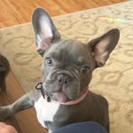 Lindsey Pyron - @3french_baguettes - Instagram
