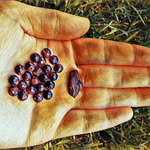 Lindsay Raines - @tigerseye_gemstone_jewelry - Instagram