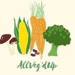 Lindsey Reeder - @allvegdup - Instagram