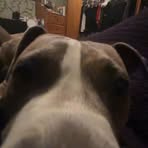 Lindsey Roe - Facebook