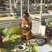 Lyndsay Sauer - Facebook