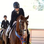Lindsey Schulz - @schulzdressage - Instagram