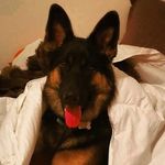 Lindsey Schulz - @novas_everydayadventures - Instagram