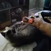 lindseyslaughter5 - @lindsey.slaughter7 - TikTok