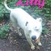 Lindsey Stanton - Facebook