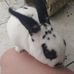 Lindsey Thorne - Facebook