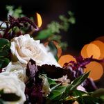 Lindsey Thorne Events - @thorne.events - Instagram