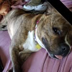 Linda Cain - @linda.cain.79274089 - Instagram