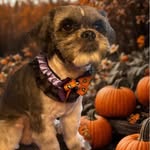 Linda Doyle - @linda_doyle_ - Instagram
