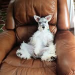 Linda Doyle Marple - @linda_doyle_marple - Instagram