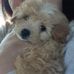 Lindy Marie Edwards - Facebook